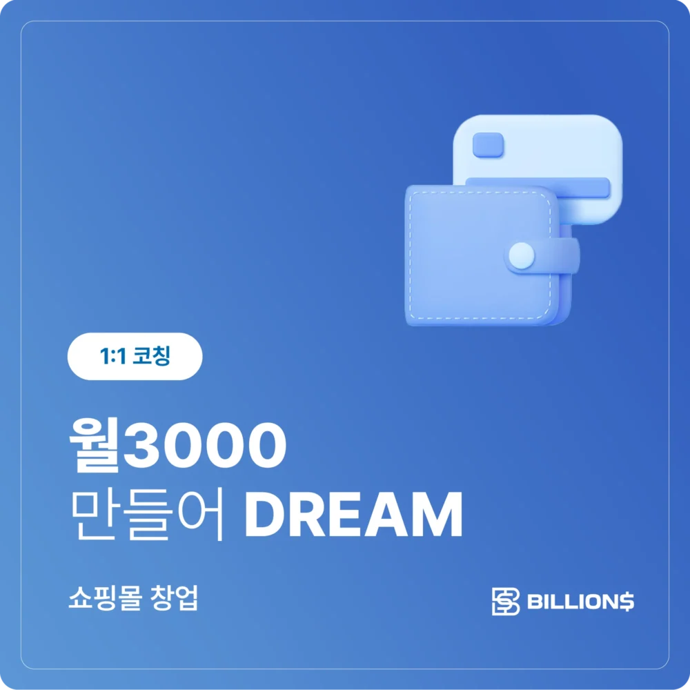 월3000 만들어 DREAM : 쇼핑몰 창업